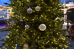 HOLIDAYS AT THE SORRENTO